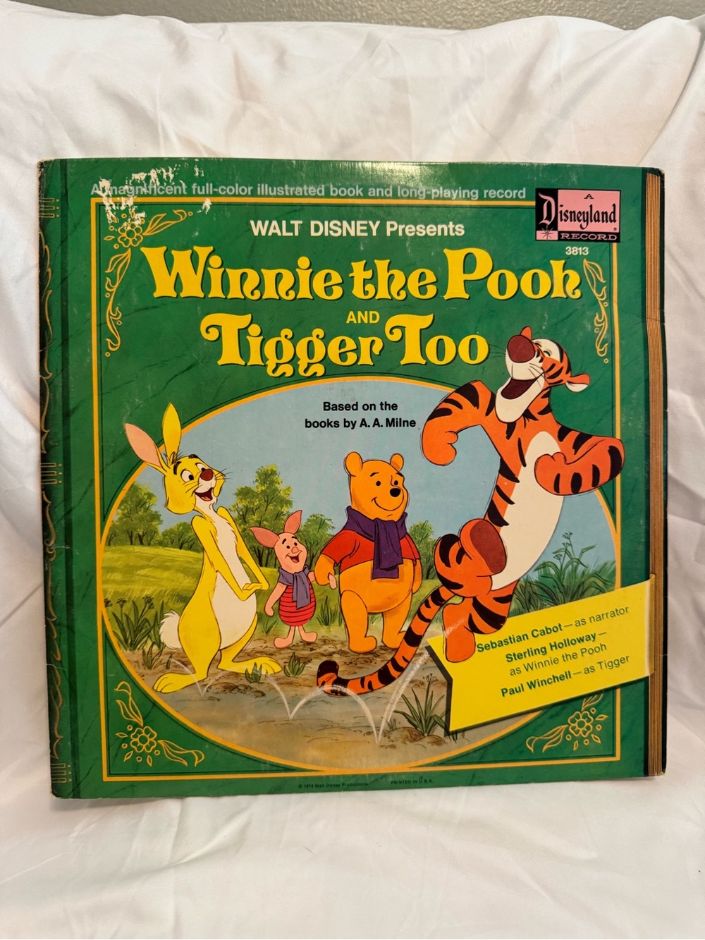 Walt Disney Winnie the Pooh and Tigger Too Storybook Record — Green